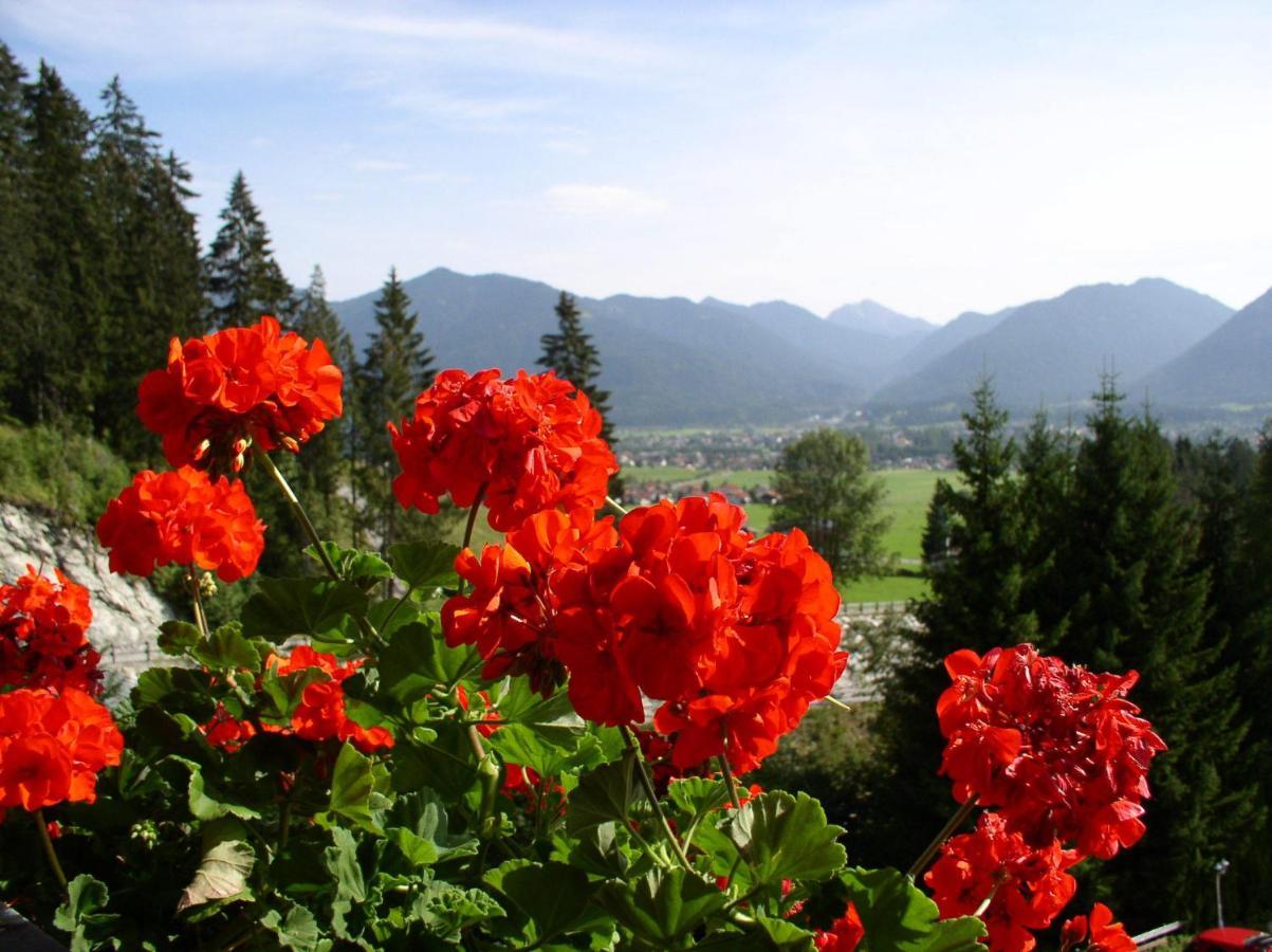 Hotel Talhof Garni&More In Waengle Bei Reutte Dış mekan fotoğraf